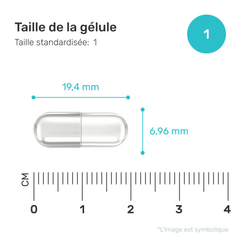 Ginkgo Biloba 100 mg 90 gélules FutuNatura fr