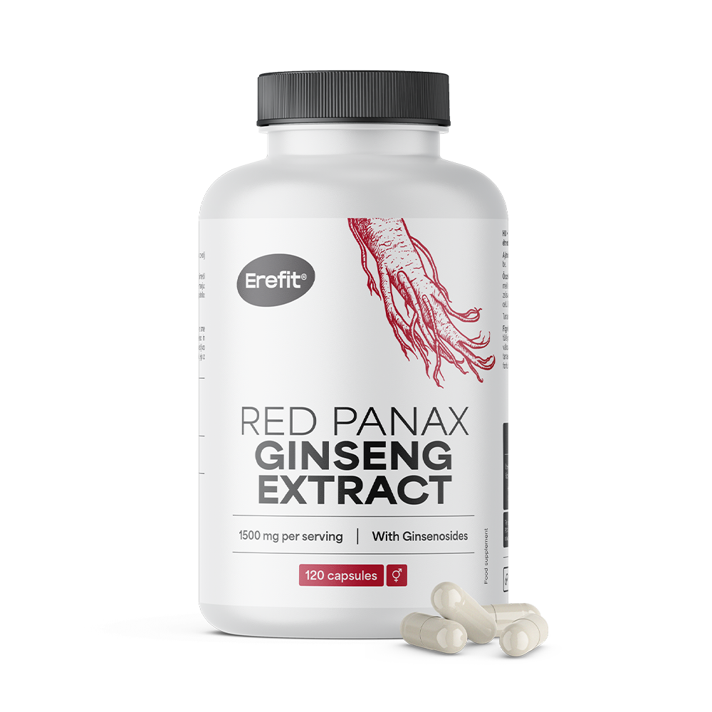 Ginseng rouge Panax.