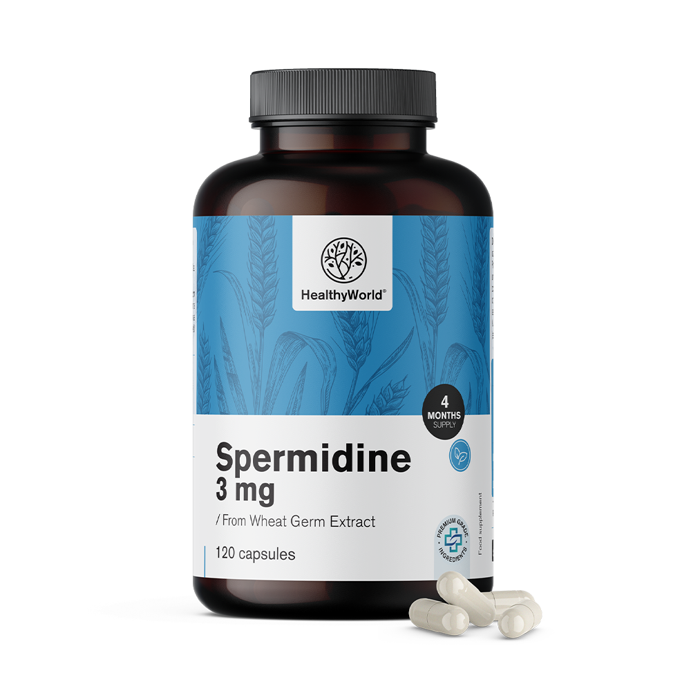 Spermidine 3 mg - extrait de germe de blé.