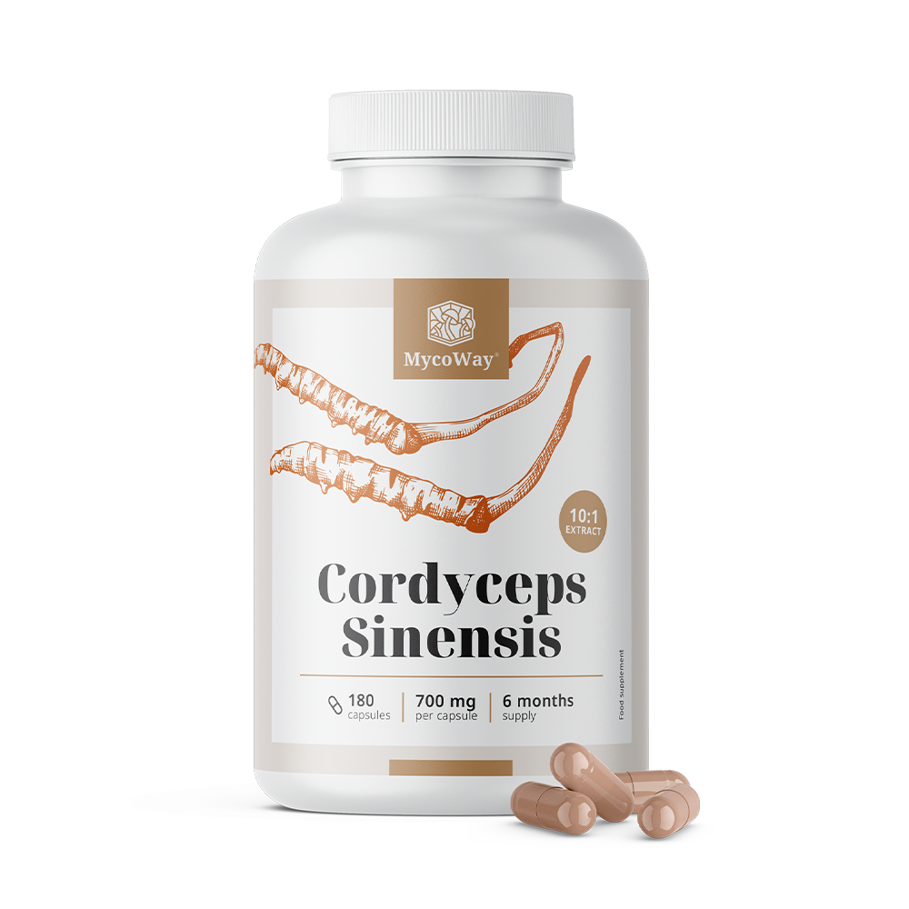 Cordyceps sinensis 1400 mg - extrait 10:1