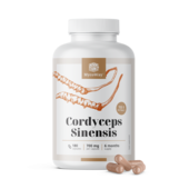 Cordyceps sinensis 1400 mg – extrait 10:1, 180 gélules