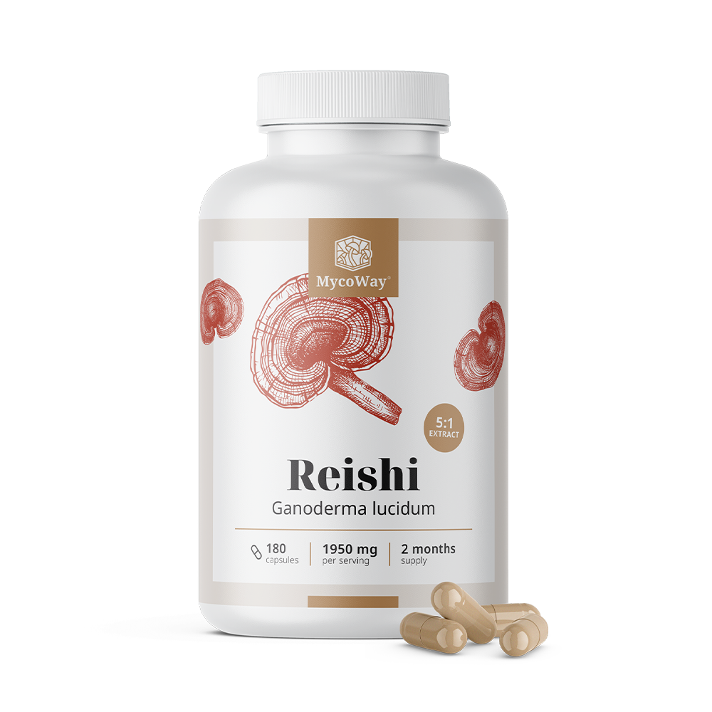 Reishi 1950 mg - extrait 5:1