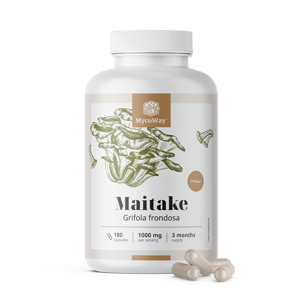 Maitaké 1000 mg - extrait