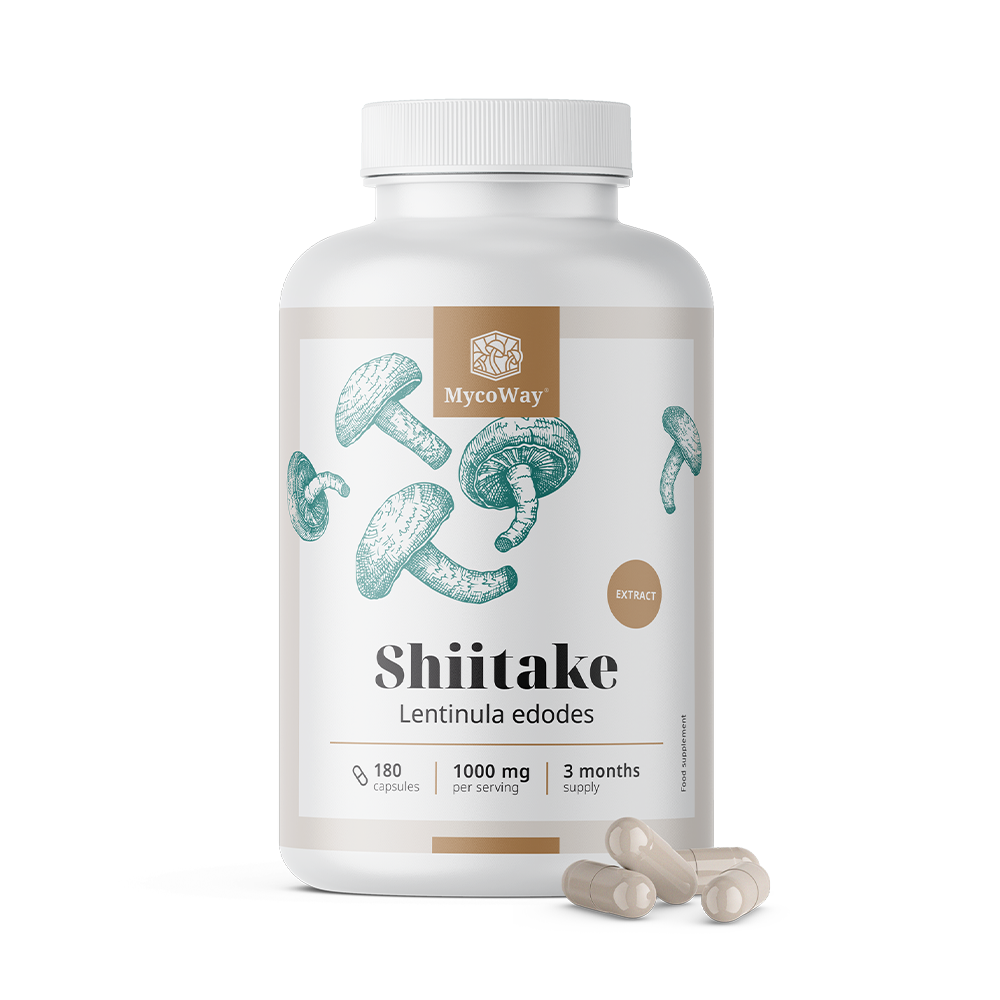 Shiitake 1000 mg - extrait