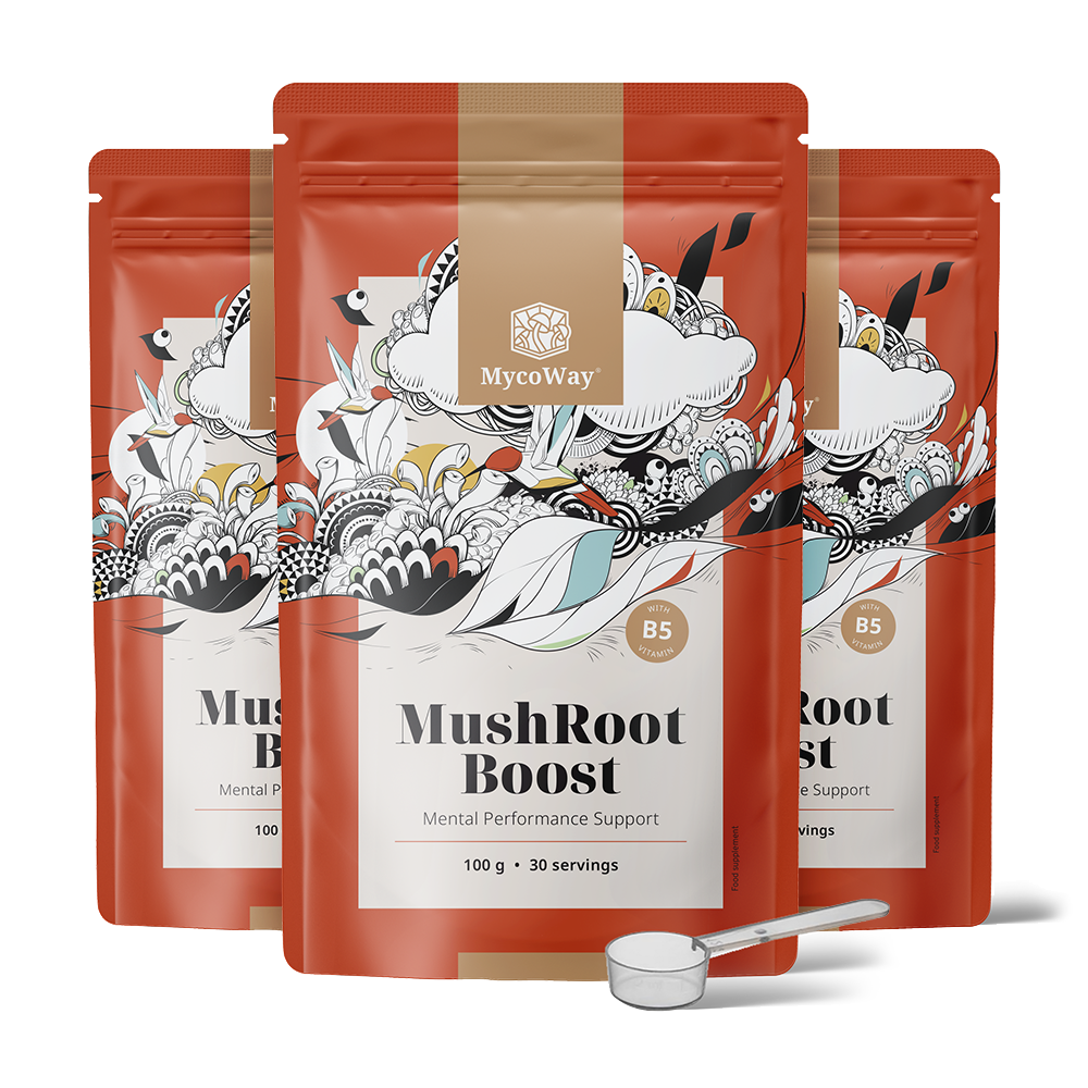 MushRoot Boost - boisson pour la performance mentale