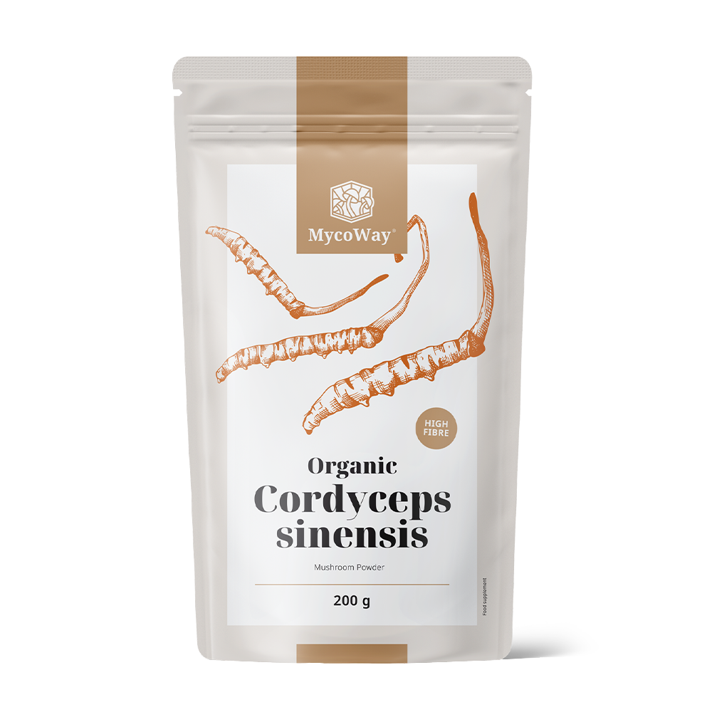 BIO Cordyceps sinensis en poudre