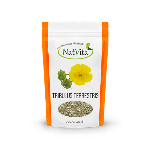 Tribule terrestre