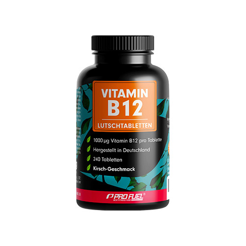 Vitamine B12 en pastilles